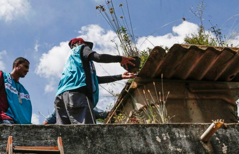 Saúde reforça monitoramento e ações de controle da dengue em 4 estados