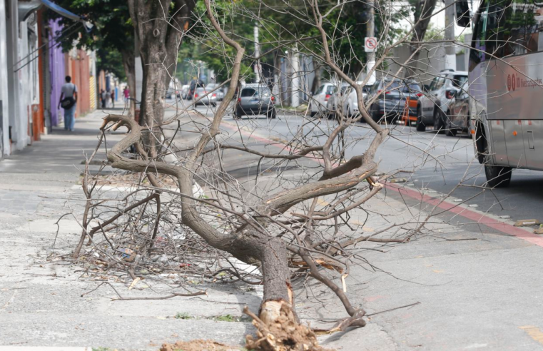 Chuva forte deixa mais de 1 milhão sem luz nesta tarde em São Paulo