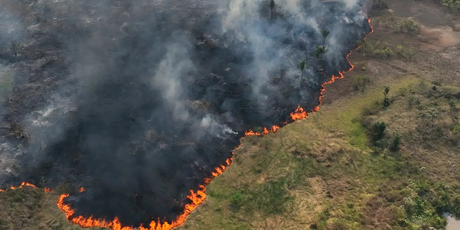 TV Brasil reexibe programa premiado sobre emergência climática