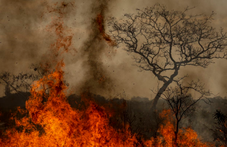 Crise climática é amplificadora de outras crises, alerta pesquisadora