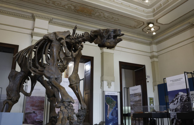 Museu de Ciências da Terra será revitalizado no Rio
