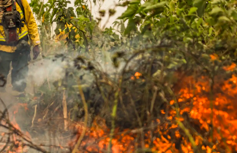 Brasil tem 1 milhão de focos de queimada registrados em 5 anos