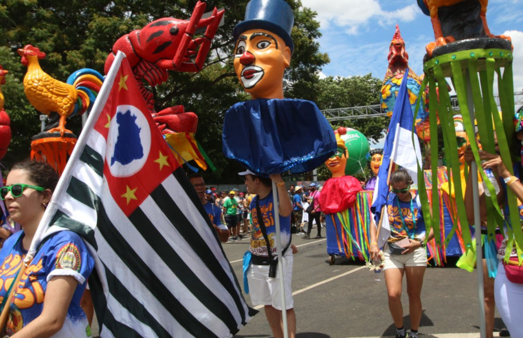 Carnaval de rua de São Paulo bate recorde, com 767 blocos inscritos