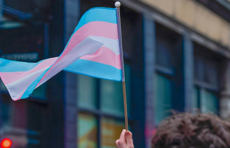 Pessoas trans enfrentam rejeições em busca de vagas formais de emprego