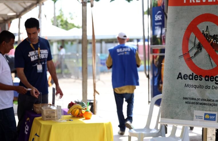 Casos de dengue no Brasil caem 60% nas primeiras semanas do ano