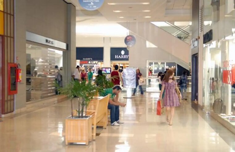 Mercado de franquias cresce 13,5% e fatura R$ 273 bilhões em 2024