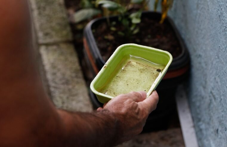 Primeira morte por dengue neste ano é confirmada na cidade de SP