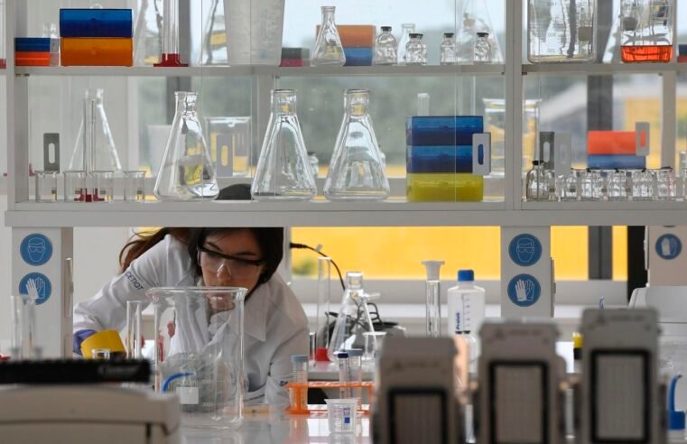 Senai atenderá 10,8 mil micro, pequenas e médias indústrias em 2025