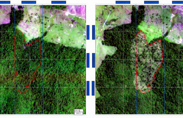 BNDES usa imagens de satélite para barrar empréstimo a desmatadores