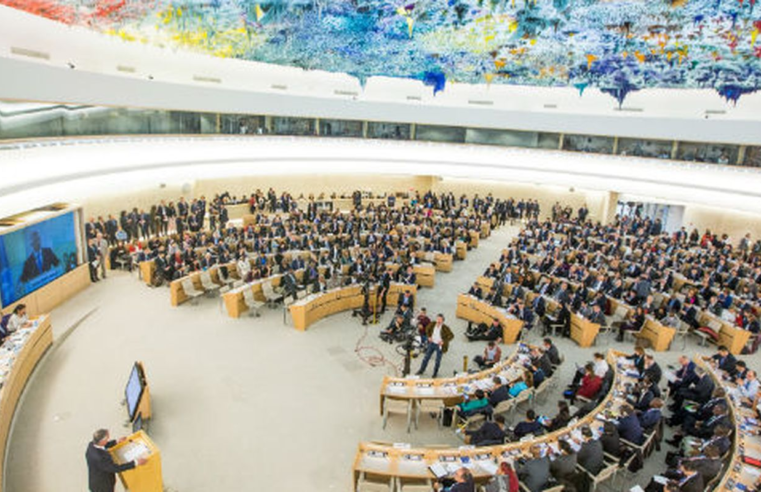 Saiba como atua o Conselho de Direitos Humanos da ONU