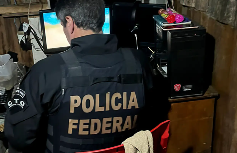 ONG diz que denúncias de crimes cibernéticos caem no Brasil