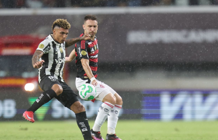 Flamengo e Botafogo se enfrentam mirando as semifinais do Carioca