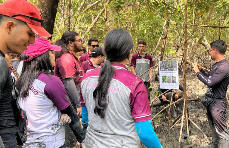 Educação ambiental aproxima estudantes do maior manguezal do planeta