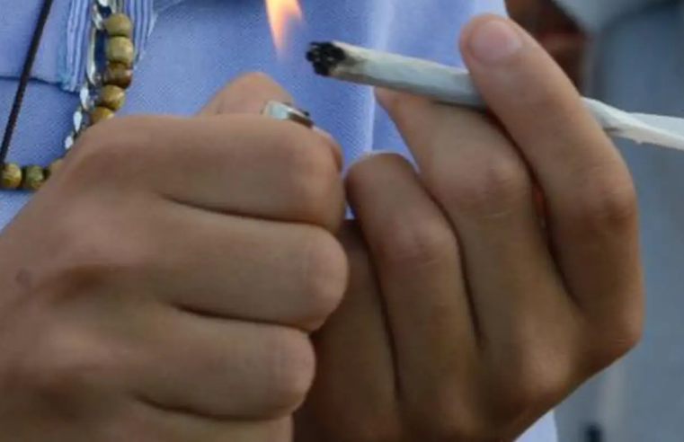STF mantém descriminalização do porte de maconha para uso pessoal