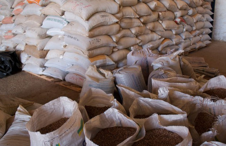 Governo inicia compra para o Programa de Aquisição de Alimentos