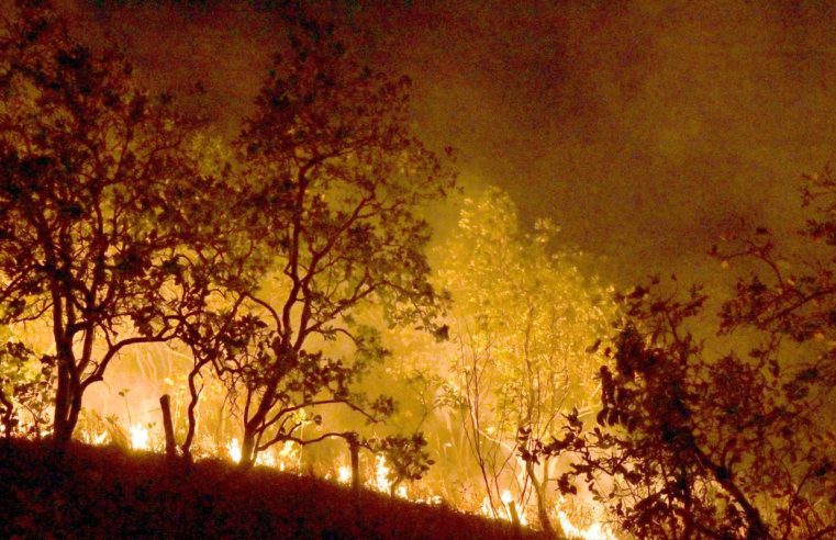 Bombeiros combatem mais de 500 incêndios no Rio de Janeiro