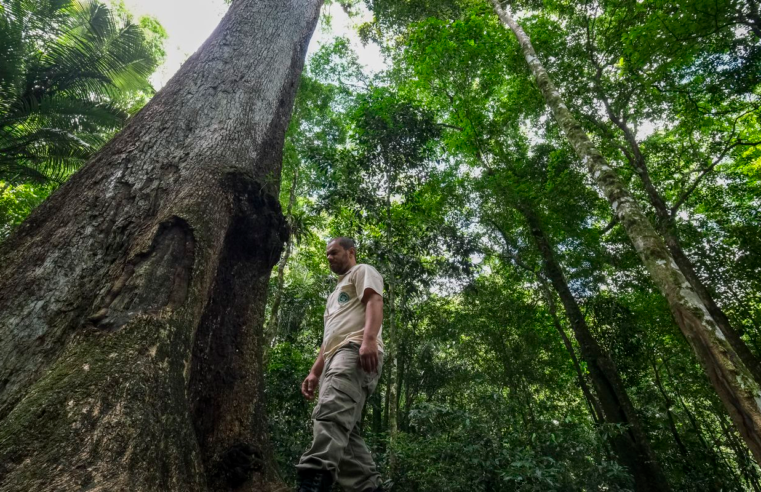 Conabio lança novas metas de conservação da biodiversidade para 2030