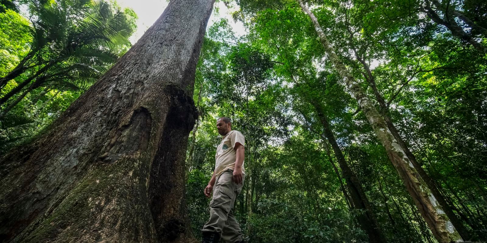 Conabio lança novas metas de conservação da biodiversidade para 2030