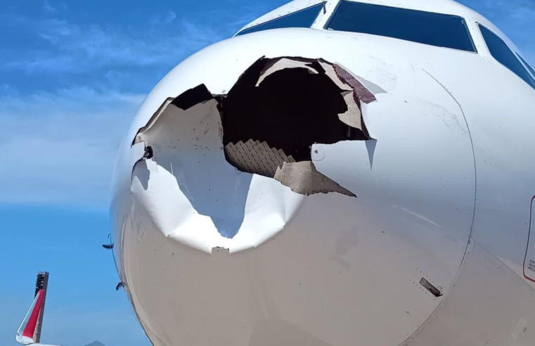 Voo da Latam retorna ao Galeão após avião colidir com pássaro