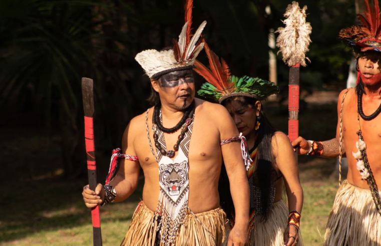 Inscrições abertas para edital de curtas sobre  Amazônia