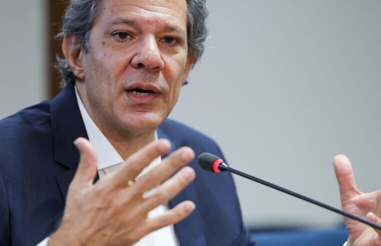 Haddad discutirá transição ecológica e reforma do G20 na França