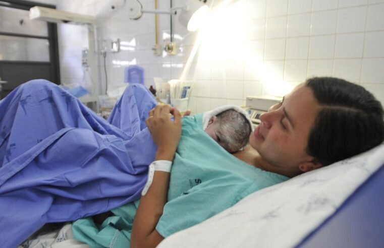 IFF/Fiocruz irá ajudar 75 maternidades a reduzirem mortalidade materna