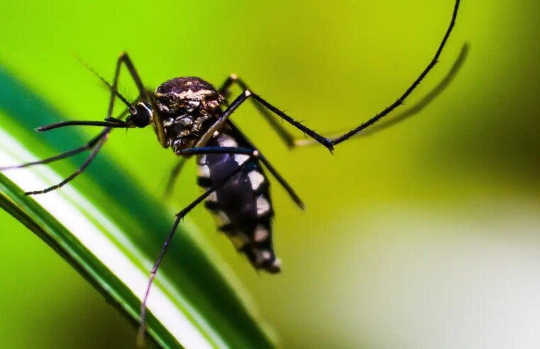SP: desigualdade na saúde concentra nas zonas norte e leste