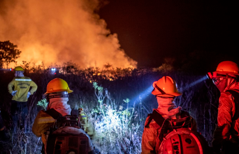 Justiça prolonga uso da Força Nacional em incêndios na Amazônia Legal