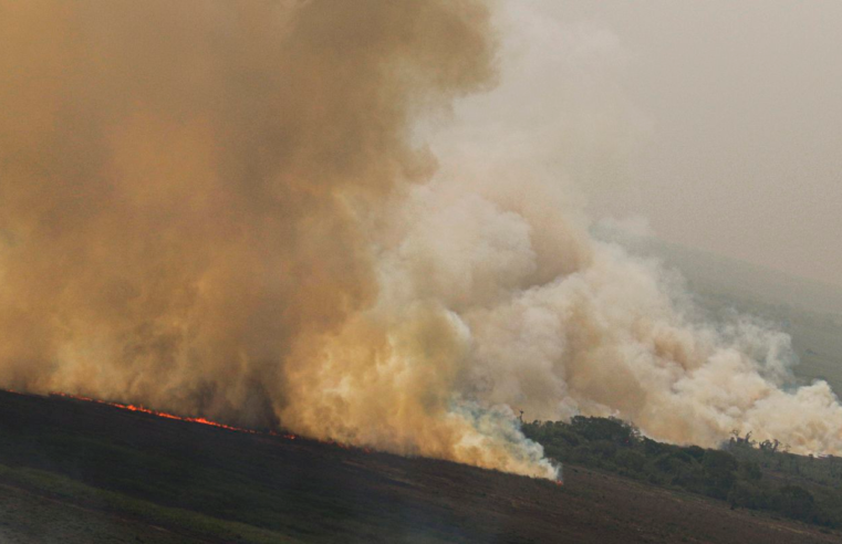 Dino homologa parcialmente plano anti-incêndios na Amazônia e Pantanal