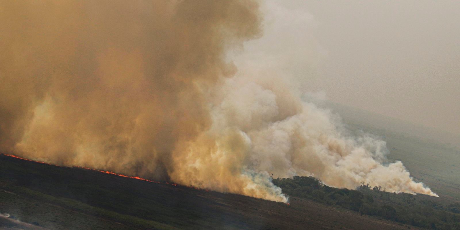 Dino homologa parcialmente plano anti-incêndios na Amazônia e Pantanal