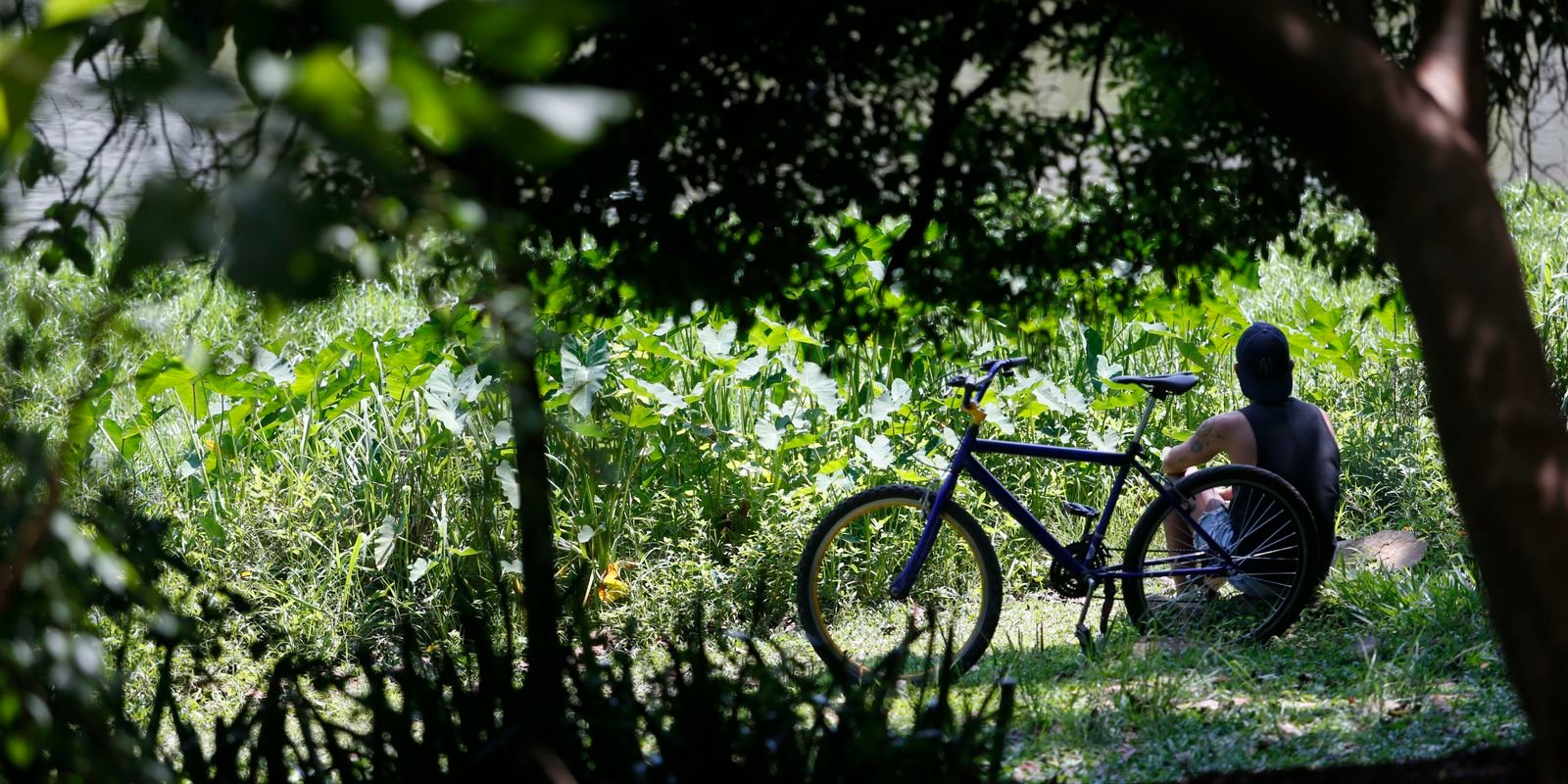 Outono começa com previsão de temperaturas acima da média