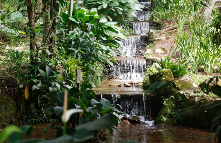 Sistema de água com mais de 200 anos abastece Jardim Botânico do Rio
