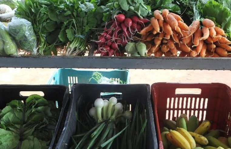 Encontro em Paris busca compromissos políticos por alimentação global