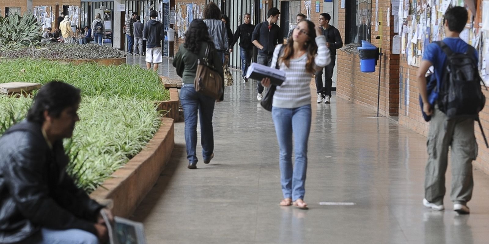 Pé-de-Meia Licenciaturas: prazo para pré-inscrição termina domingo