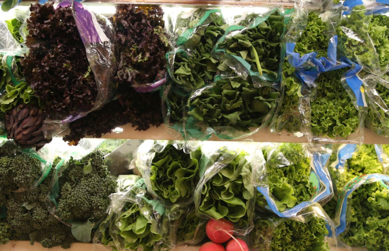 França quer apoio de bancos de desenvolvimento a alimentação saudável