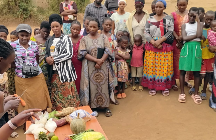 Projeto estimula criação de insetos como fonte de proteína na Uganda