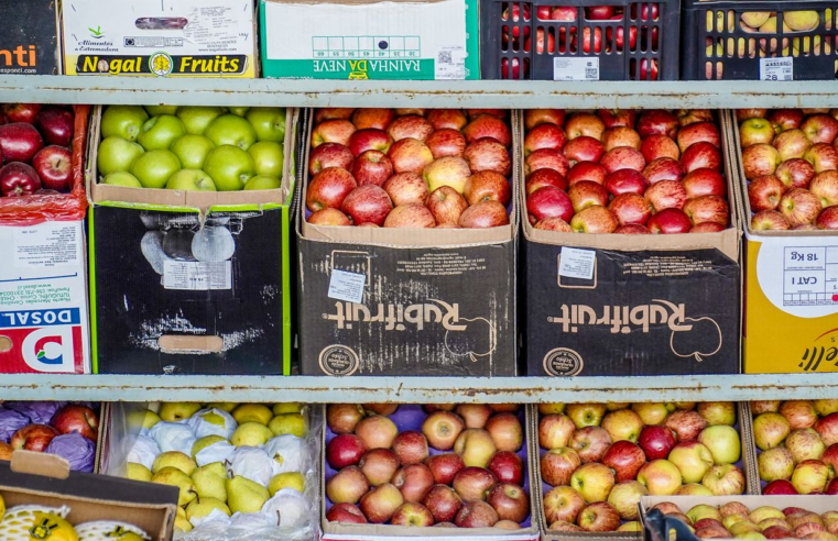Em Paris, autoridades pedem investimentos globais no combate à fome