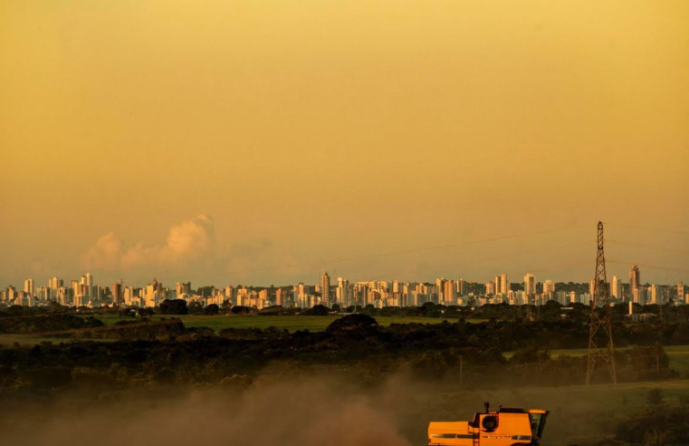 Monoculturas contribuem com crise climática, mas sofrem consequências