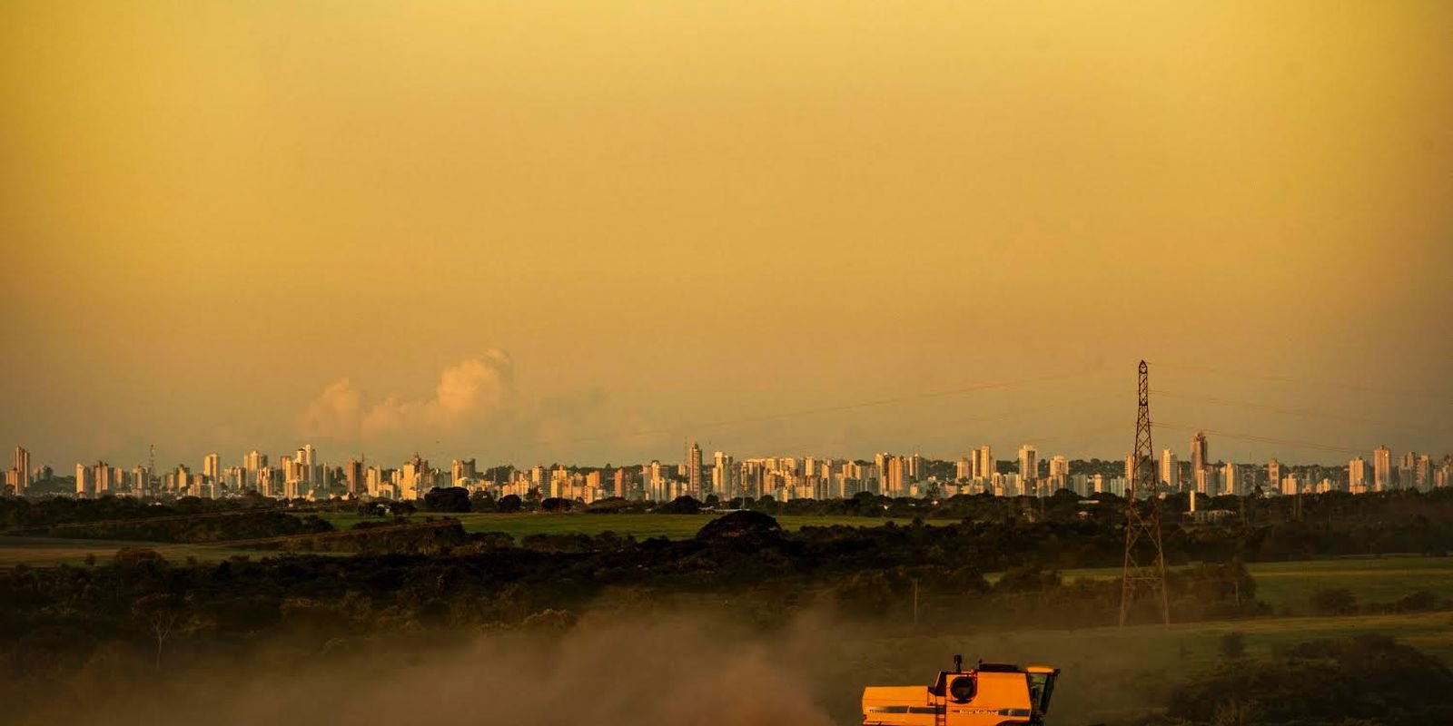 Monoculturas contribuem com crise climática, mas sofrem consequências
