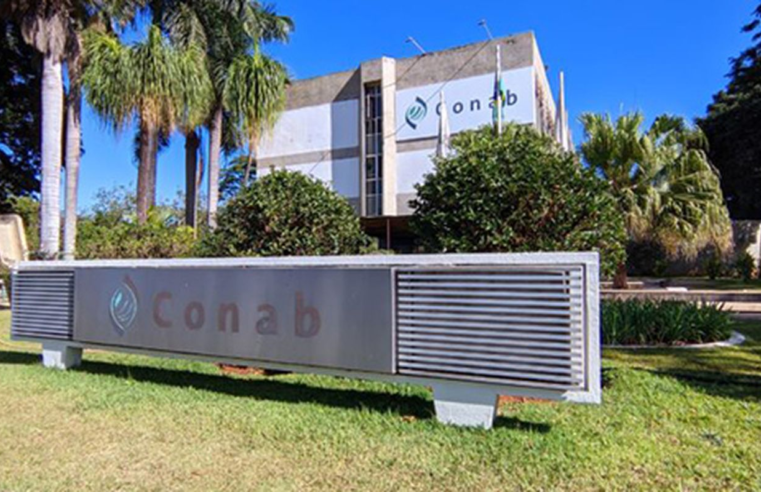 Conab publica edital de concurso público nacional com 403 vagas