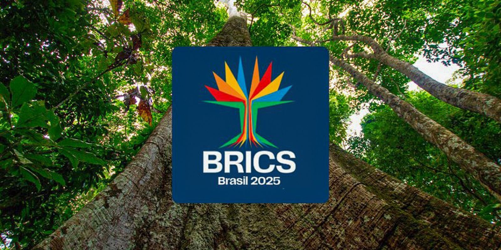 Brics lança concurso para startups lideradas por mulheres