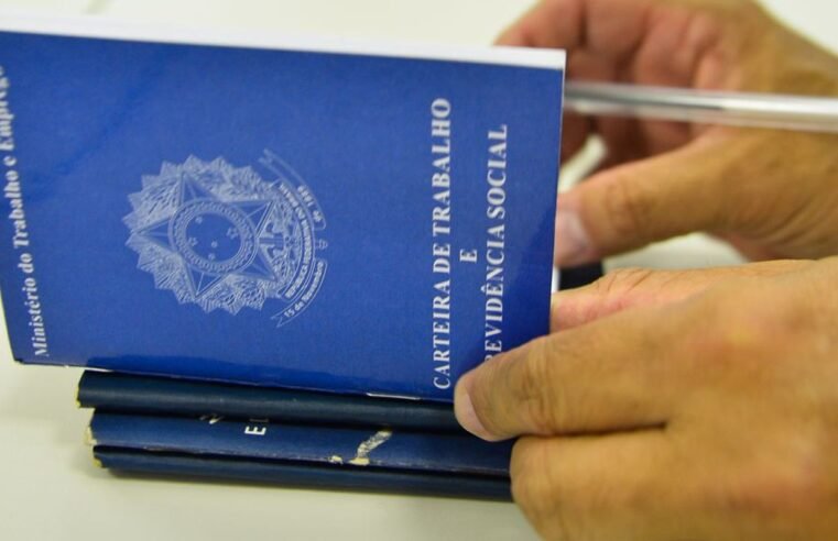 Desemprego entre jovens cai pela metade entre 2019 e 2024