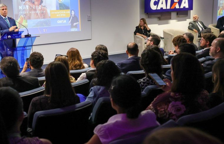 Caixa destina R$ 50 milhões para florestas produtivas na Amazônia