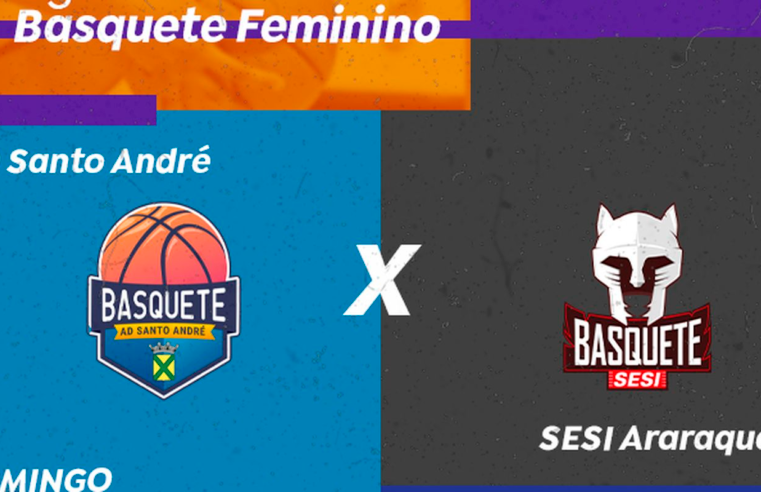Basquete Feminino: TV Brasil exibe AD Santo André X SESI Araraquara