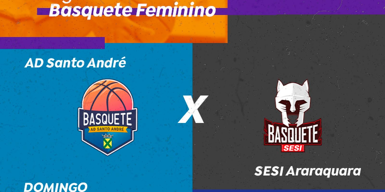 Basquete Feminino: TV Brasil exibe AD Santo André X SESI Araraquara