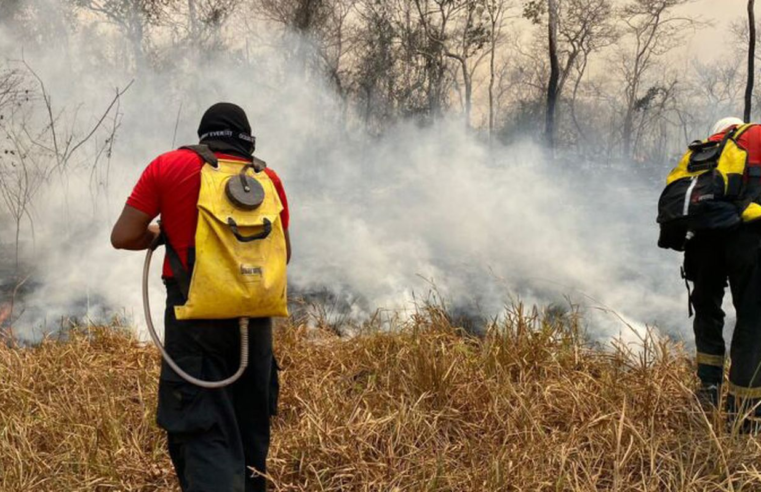 Maranhão terá R$ 45 milhões do Fundo Amazônia para combater incêndios