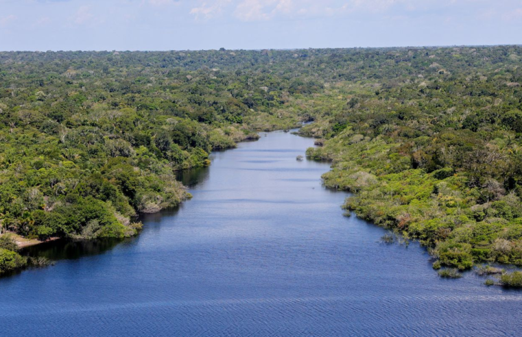 Nova etapa do projeto Restaura Amazônia é lançado durante ATL