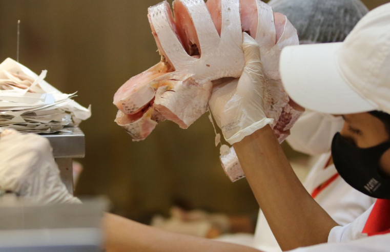 Santa Feira do Peixe começa nesta terça-feira em São Paulo