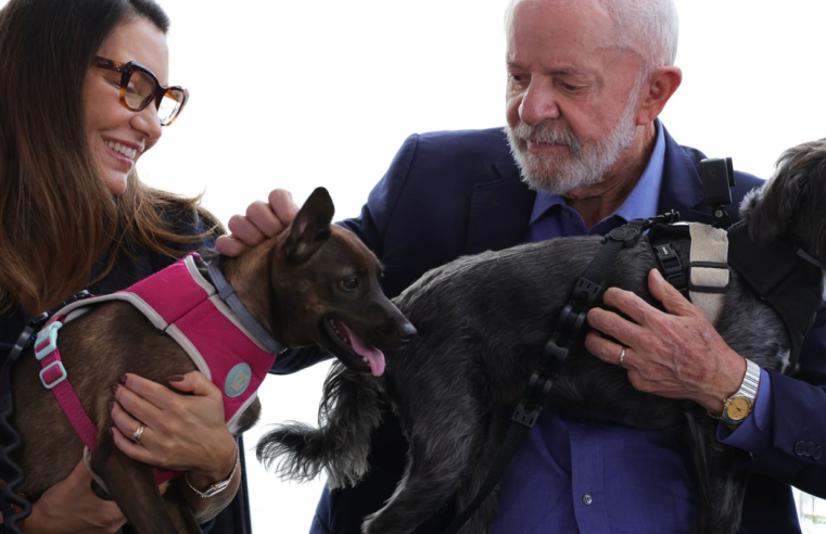 Lula lança programa de identificação e proteção de cães e gatos
