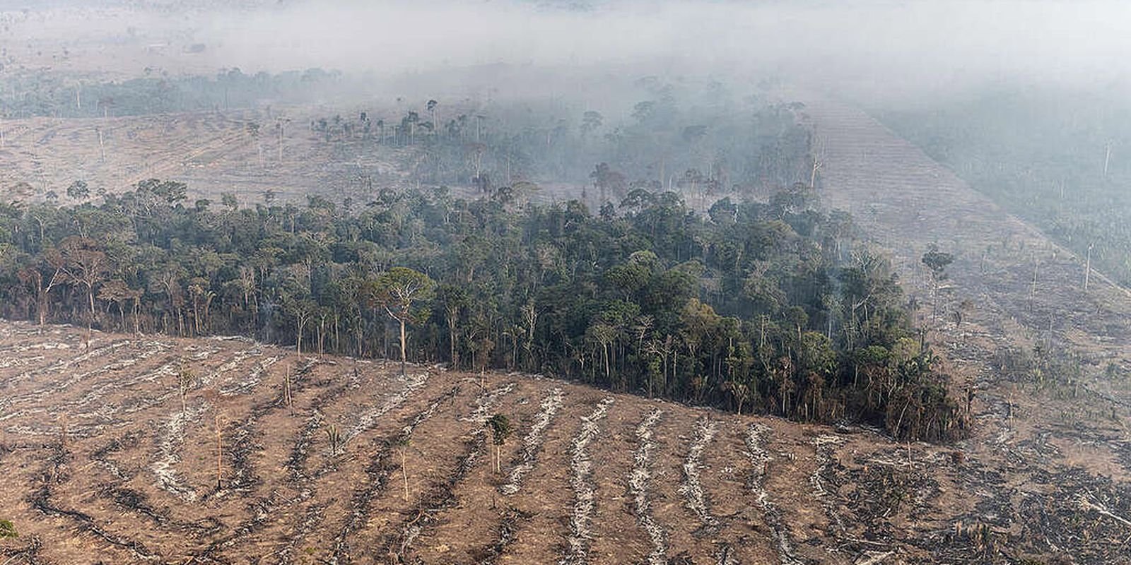 STF permite desapropriação de terra por incêndio ilegal e desmatamento